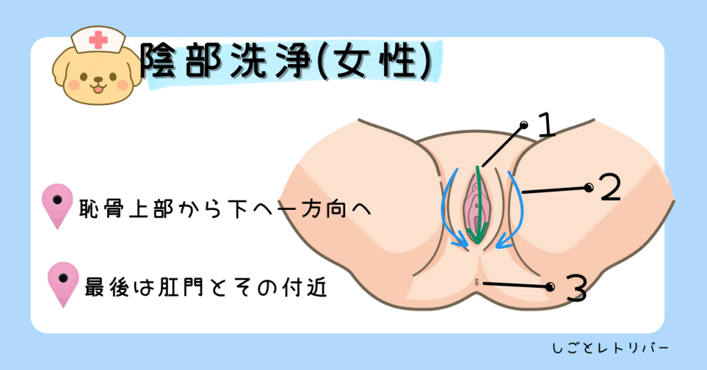 陰部洗浄(女性)　イラスト
